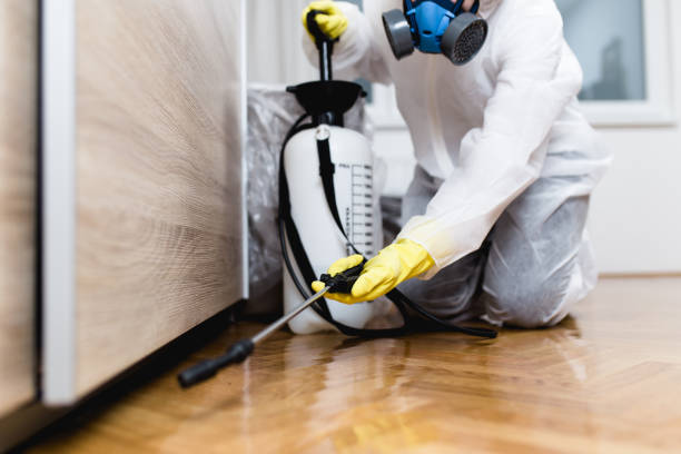 Best Cockroach Control Services  in Clear Lake, SD