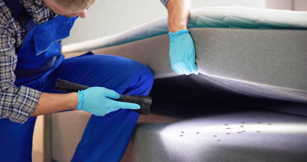 Best Rat Extermination Near Me  in Clear Lake, SD