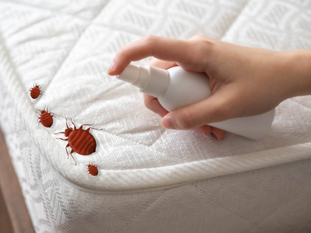 Best Commercial Pest Control Services  in Clear Lake, SD