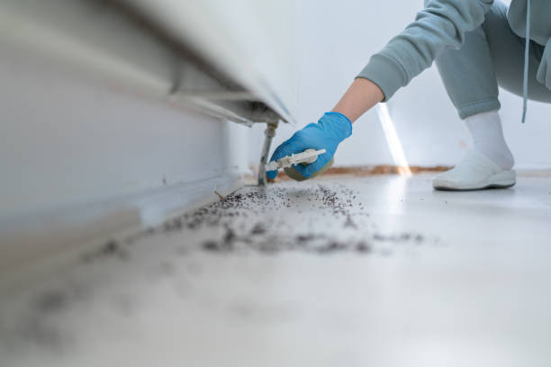 Best Pest Prevention Services  in Clear Lake, SD