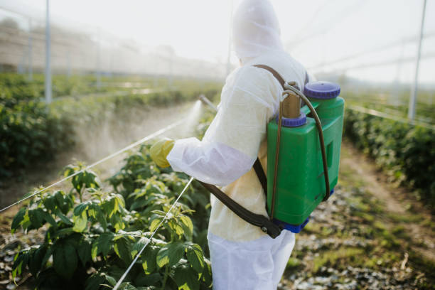 Best Local Pest Control Services  in Clear Lake, SD